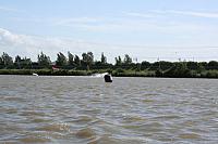 IMG 0145 800x533