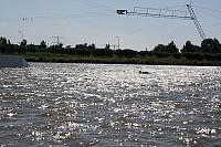 IMG 0160 800x533