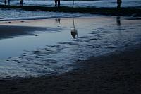 IMG 0082 800x533