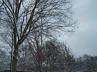 S6000341 800x600