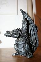 zooi 2 004 400x600