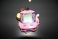 zooi 3 028 800x533