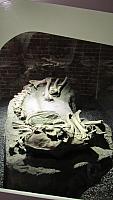 IMG 1481