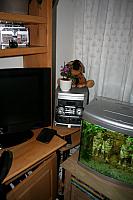 huisie 16-6 012 400x600