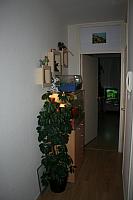 huisie 16-6 025 400x600