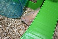 IMG 0063 800x533