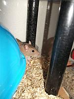 20101213 12 800x600