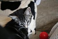 20090518 11 800x533