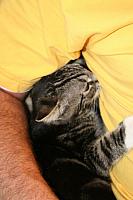 20090621 32 400x600