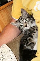 20090621 40 400x600