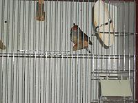 DSCF0186 800x600