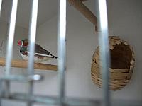 DSCF0267 800x600