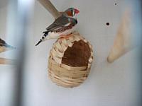 DSCF0269 800x600