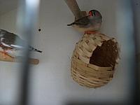 DSCF0270 800x600