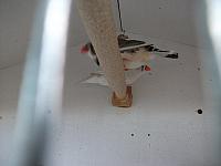 DSCF0618 800x600