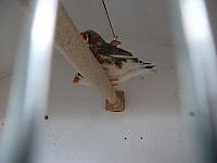 DSCF0619 800x600