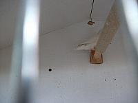 DSCF0620 800x600