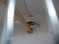 DSCF0622 800x600