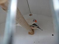 DSCF0625 800x600