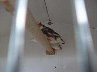 DSCF0626 800x600