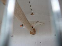 DSCF0627 800x600