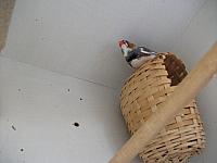 DSCF0688 800x600