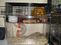 10-06-2010 024