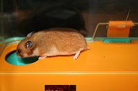 IMG 0103 800x533