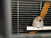 P2070032 800x600