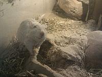 IMG-20120611-WA0015.jpg
