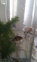 IMAG0653.jpg