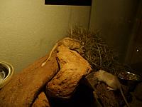 Mica en Senga 03 800x600