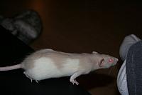 zooi 2 082 800x533