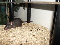 20110104 10 800x600