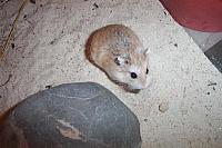 Sandy 1 800x533