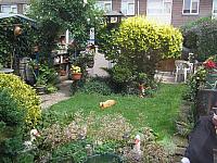 18 Juni 012 800x600