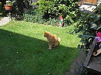 18 Juni 018 800x600