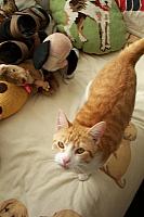 Skippy 2 400x600