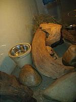 8 40 Verblijf Gerbils